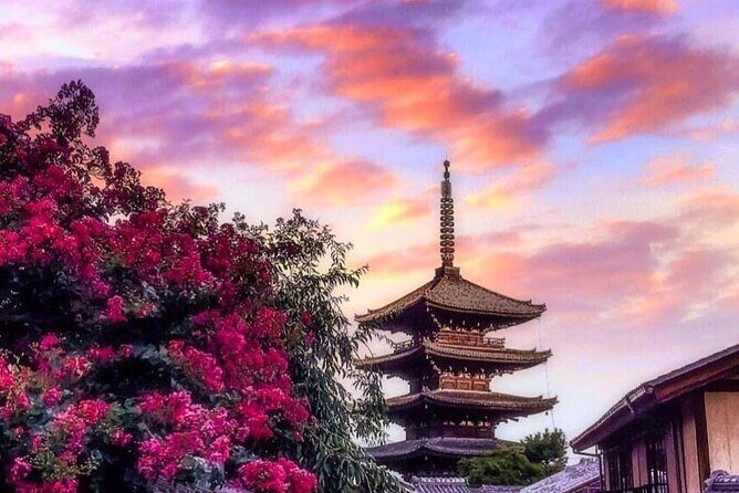 Kyoto, Osaka, Nara Private Tour by Car English Driver Guide - The Itinerary Breakdown: What You Can Expect