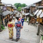 Kyoto Private 6 hour Tour: English Speaking Driver Only, No Guide - Final Thoughts on the Experience