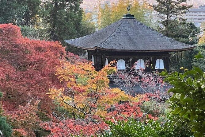 Kyoto Private Customizable Sightseeing Tour by Car-up to 9 people - Itinerary Breakdown: What You Can Expect