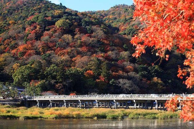 Kyoto Sagano Bamboo Grove & Arashiyama Walking Tour - Who Should Book This Tour?