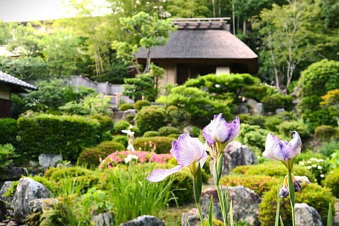 Kyoto Shogun Cycling Tour - Who Is This Tour Best For?