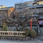Kyoto-The City of the Dreams! - Practical Details: Transport, Timing, and Group Size