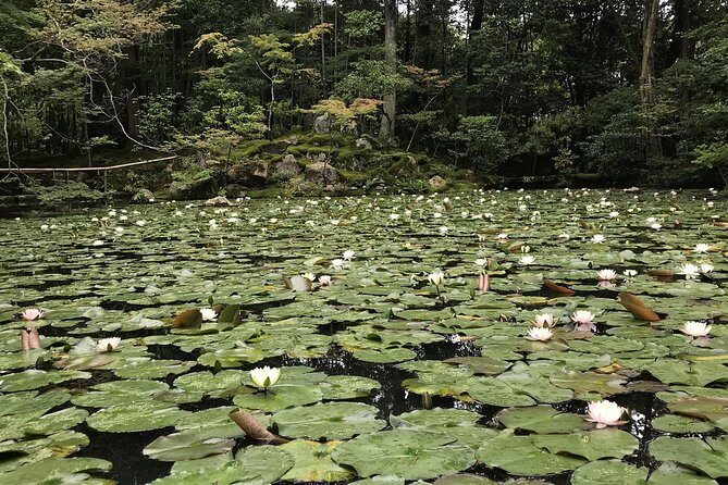 Kyoto: The Path Less Traveled (Private) - Practical Details and Considerations