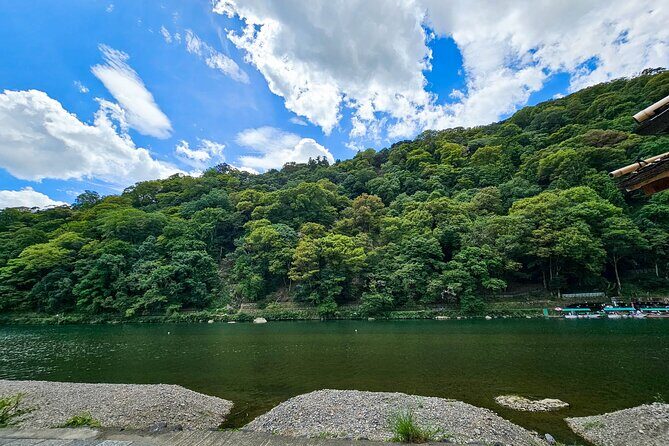Kyoto's Arashiyama Bamboo Grove: 3-Hour Guided Tour - Who Will Love This Tour?