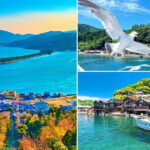 Kyoto's coast Amanohashidate and Ine Boathouse Full-Day Tour - Practical Details and What to Expect