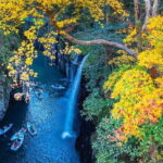 Kyushu Day Trip Miyazaki Takachiho Gorge and Shrine From Fukuoka - What You Can Expect on the Day