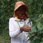 La Plantation tour (discovering Kampot Pepper) + Lunch - Final Thoughts: Is It Worth It?