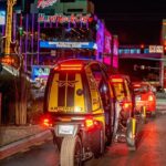 Land and Air Combo Tour: Talking GoCar and Helicopter - Who Should Consider This Tour?