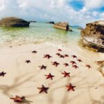 Land Tour 2: Discover the North - Kayaking & Starfish beach Phu Quoc (Not Lunch) - What to Expect From the Experience