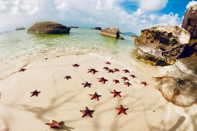 Land Tour 2: Discover the North - Kayaking & Starfish beach Phu Quoc (Not Lunch) - What to Expect From the Experience