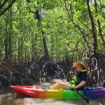 Langkawi Mangrove Kayak Tour by Sham - Practical Details