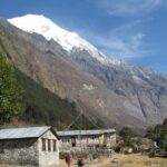 Langtang Valley Trek - Authentic Highlights from Real Trekkers