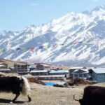 Langtang Valley Trek - What Sets This Trek Apart?