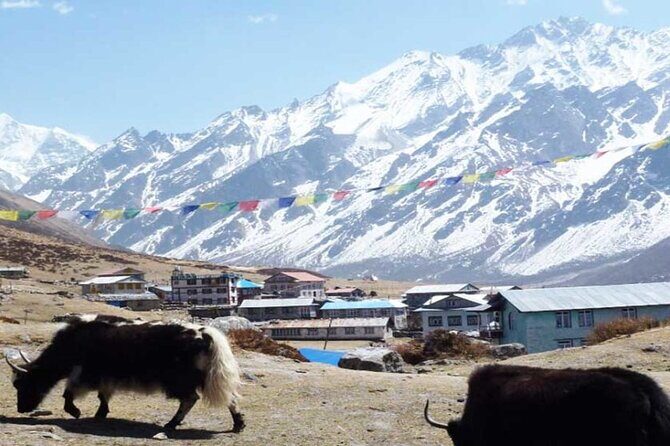 Langtang Valley Trek - What Sets This Trek Apart?