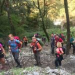 Langtang Valley Trek - Transport and Logistics