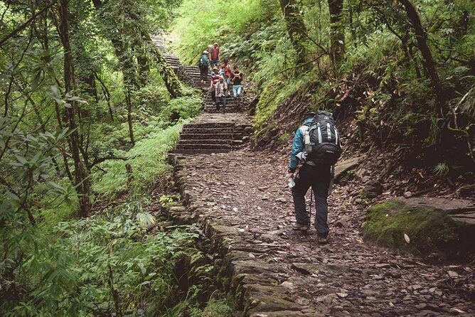 Langtang Valley Trekking - The Sum Up: Why Choose the Langtang Valley Trek?