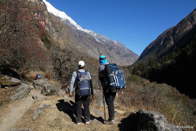 Langtang Valley Trekking - The Full Experience: A Deep Dive into the Langtang Valley Trek