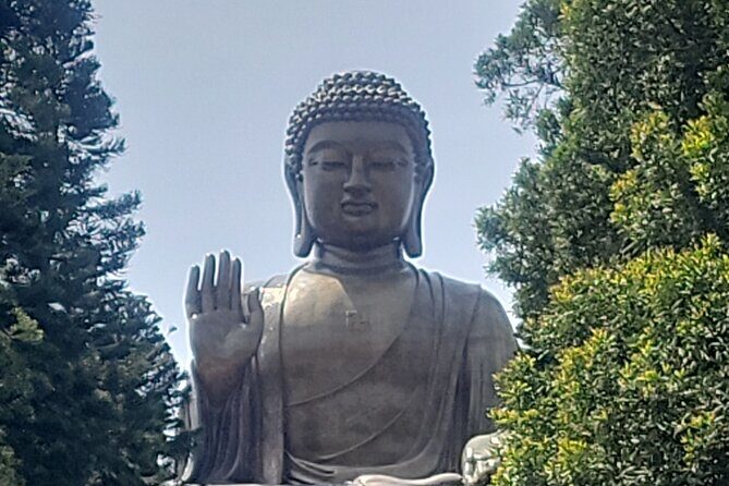 Lantau Island Tian Tan Big Buddha Excursion with Mercedes Benz - Detailed Breakdown of the Experience