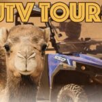 Las Vegas Guided UTV Safari and Zoo Tour - Practical Details & Tips
