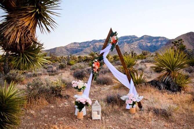 Las Vegas Scenic Wedding Ceremonies - Final Thoughts: Who Should Book This?