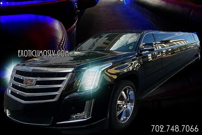 Las Vegas Strip Tours All Landmarks All Drinks Included - Who Is This Tour For?