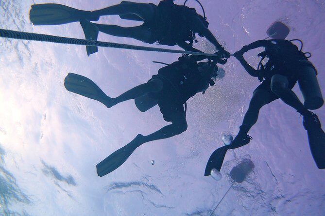 Learn to Dive | RAID Open Water 20 Diver Course | Kota Kinabalu - Who Should Book This Course?