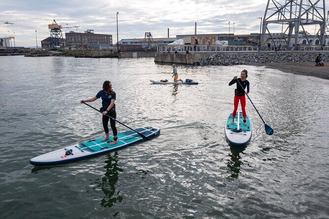 Learn to Paddle Board on the San Francisco Bay! - The Experience in Detail
