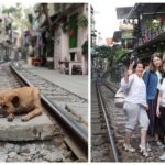 Legally sneak in the banned Train Street - Exploring Hanoi’s Back Streets