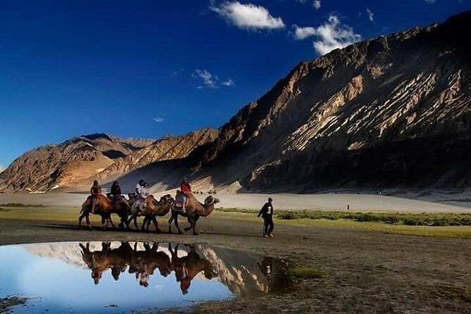 LEH LADAKH TOUR (5 Nights /6 Days) - How the Tour Delivers Value and Authenticity