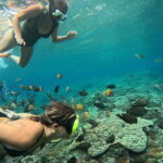 Lembongan Snorkeling at Manta Point Crystal Bay and Mangrove - Crystal Bay: The Vibrant Underwater Playground