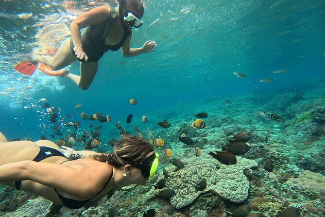 Lembongan Snorkeling at Manta Point Crystal Bay and Mangrove - Crystal Bay: The Vibrant Underwater Playground