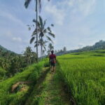 Lemukih Hidden Trekking Waterslide Sekumpul and Fiji Waterfall - Who Would Love This Tour?