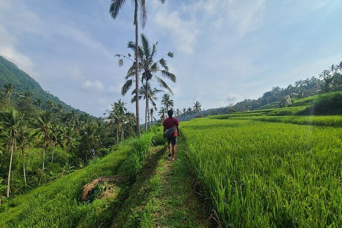 Lemukih Hidden Trekking Waterslide Sekumpul and Fiji Waterfall - Who Would Love This Tour?