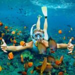 Lihaga Island (white sand island) swimming twice, including lunch and tickets - The Value of This Tour
