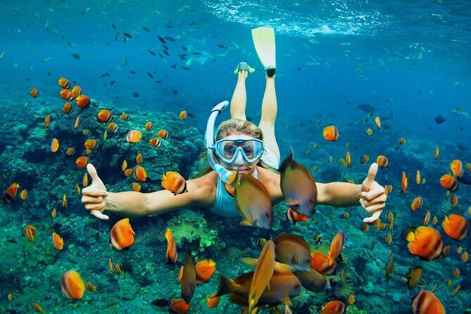 Lihaga Island (white sand island) swimming twice, including lunch and tickets - The Value of This Tour