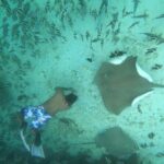 Local Island Day Trip from Hulhumale - Practical Details and Value