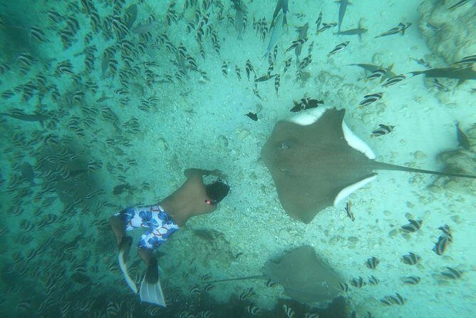 Local Island Day Trip from Hulhumale - Practical Details and Value