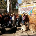 Local Sightseeing - Udaipur ," Travel With Chinmay ". - Who Will Love This Udaipur Tour?