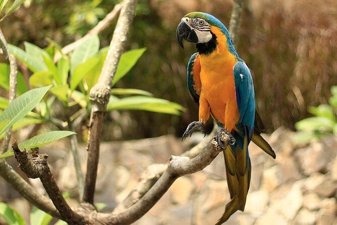 Lombok Wildlife Park Skip the Line Ticket - Final Thoughts