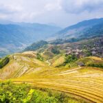 Longji Rice Terraces and Minority Village Day Tour - An In-Depth Look at the Longji Rice Terraces and Minority Village Tour