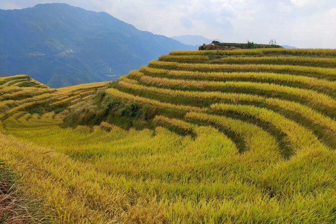 Longji Rice Terraces Day Tour from Guilin hotel - Final Thoughts: Who Is This Tour Best For?