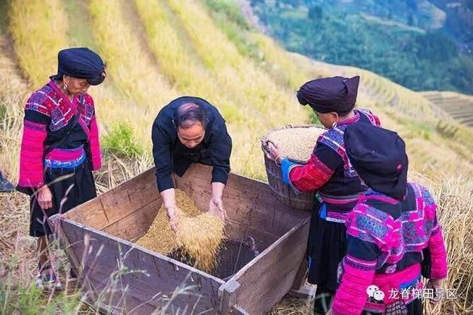 Longji rice terraces & minority villages private day tour - The Guides: Knowledgeable and Friendly