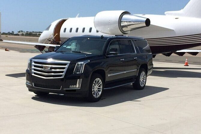 Los Angeles Airport(LAX)to Los Angeles - Arrival Private Transfer - Meeting Point and Logistics