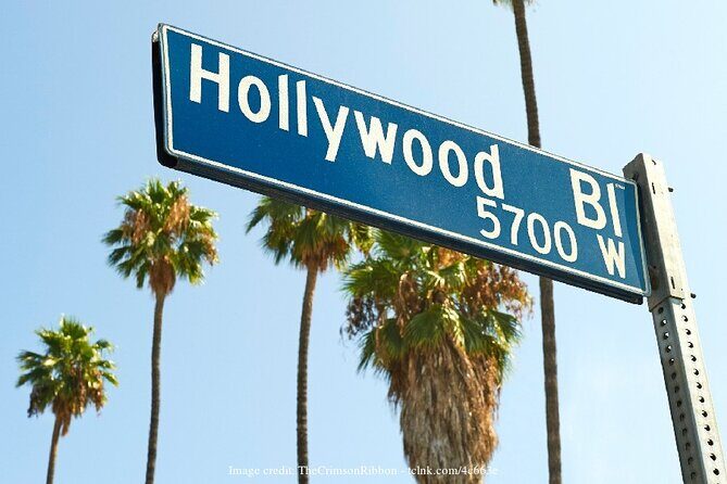 Los Angeles Iconic Highlights: Private Half-Day Driving tour - Transport and Guide Experience