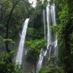 Lovina sunrise with Dolphin watching and Twin Banyumala Waterfall Day Trip - Authentic Experiences & Insights from Reviewers