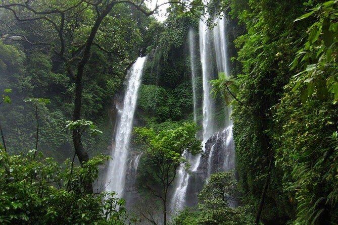 Lovina sunrise with Dolphin watching and Twin Banyumala Waterfall Day Trip - Authentic Experiences & Insights from Reviewers