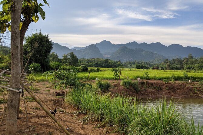 Luang Prabang Mountain Bike Cycling Tour - Who Is This Tour Best For?