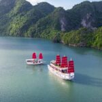 Luxury Bai Tu Long Cruise - Halong Day Trip from Hanoi - What the Reviews Tell Us