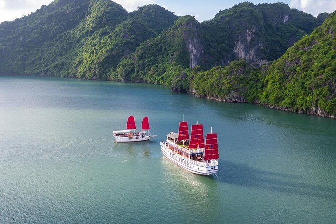 Luxury Bai Tu Long Cruise - Halong Day Trip from Hanoi - What the Reviews Tell Us