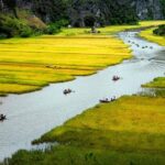 Luxury Hoa Lu Tam Coc Mua Cave Amazing View 1 Day Tour - Practical Considerations